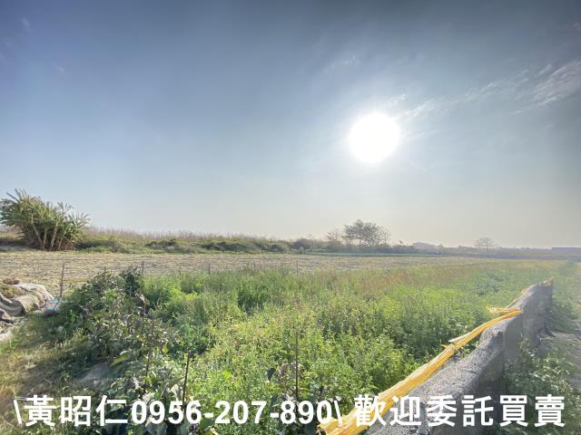 台南安南農地-6
