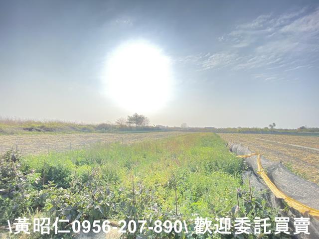 台南安南農地-7