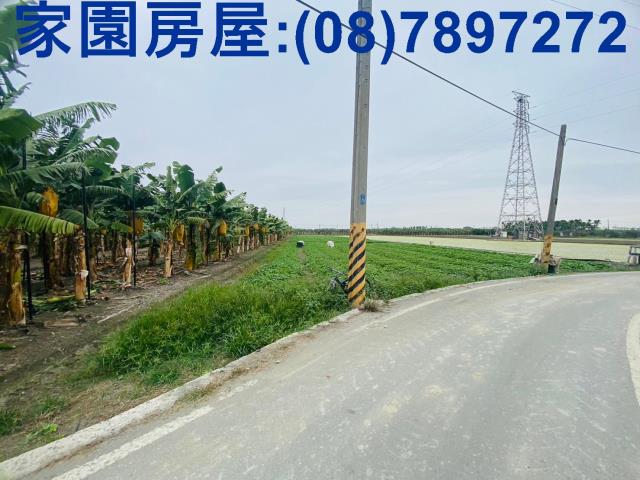 屏東新園農地-4