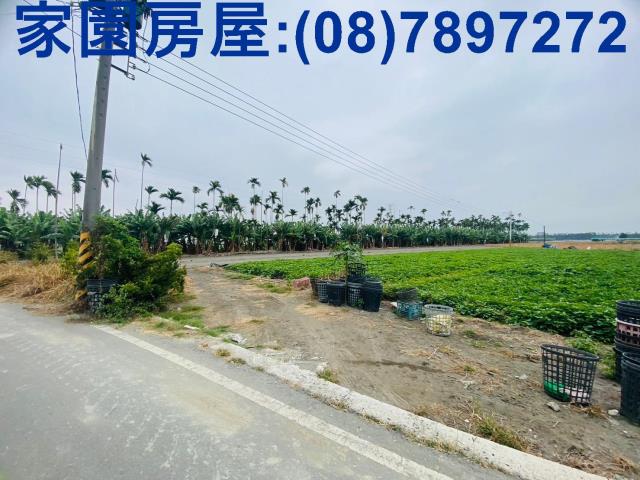 屏東新園農地-3