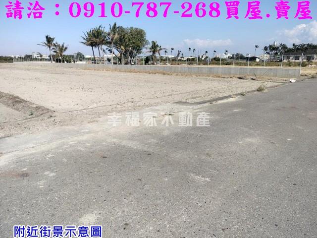 台南柳營農地-11