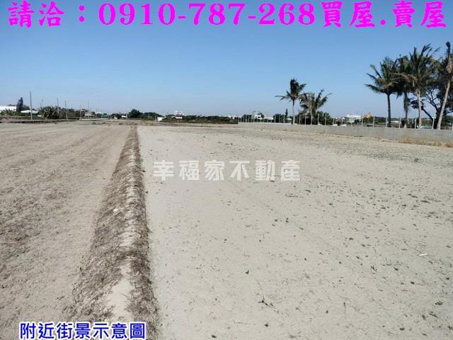 台南柳營農地-5