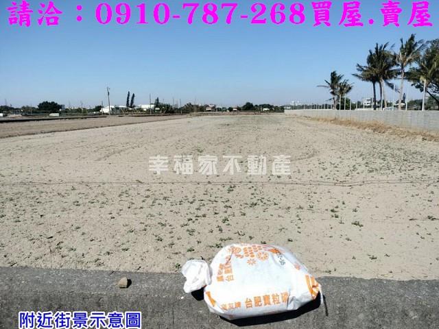 台南柳營農地-9