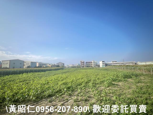 台南農地-2