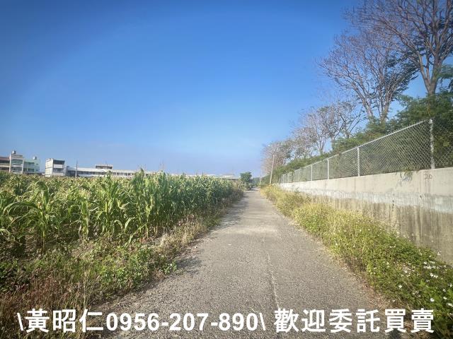 台南農地-4