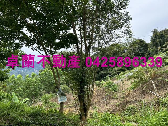 大湖農地-14