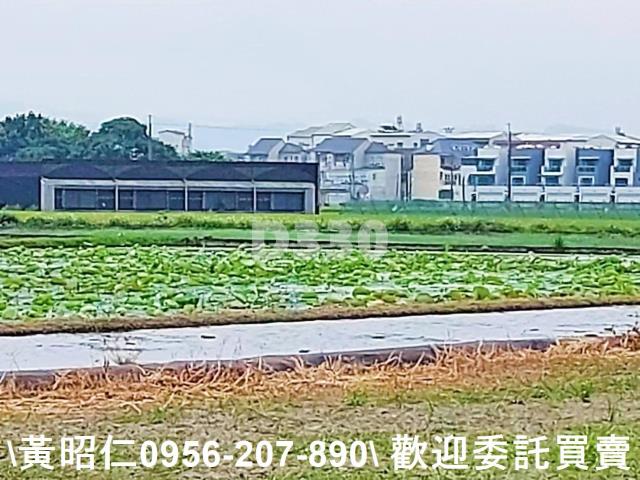 台南農地-10