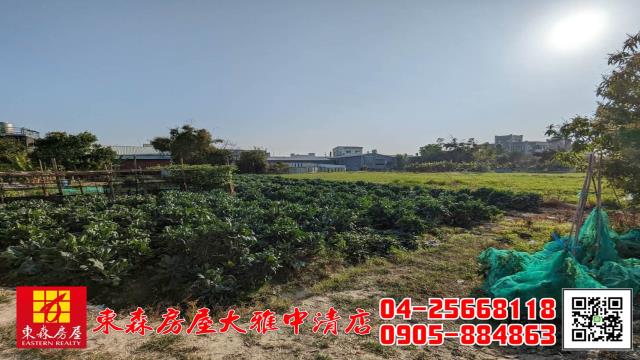 西屯農地-10