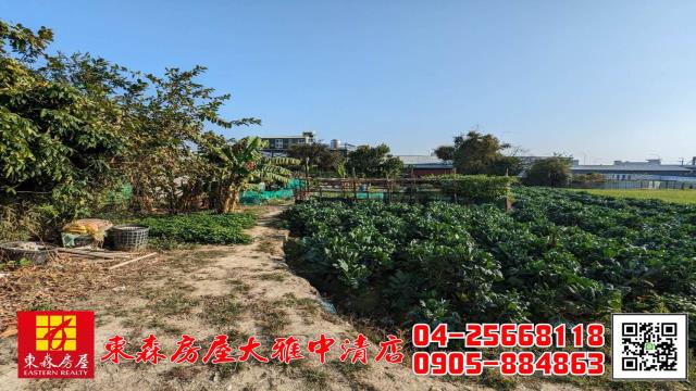 西屯農地-5