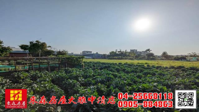西屯農地-9