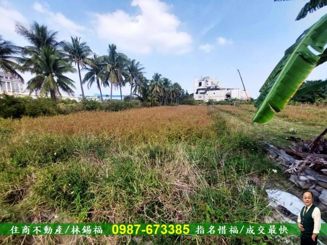 台南永康農地-10