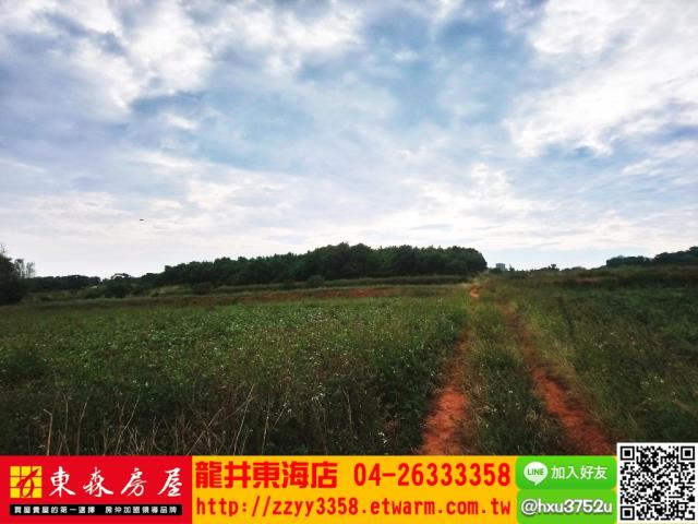 台中南屯農地-1