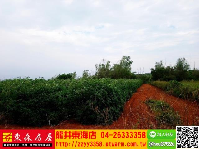 台中南屯農地-3