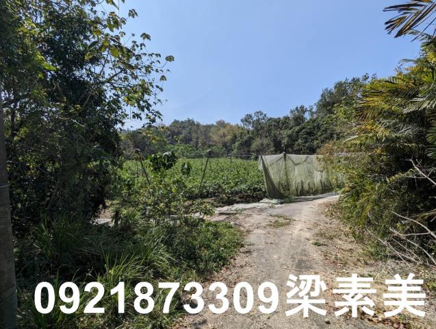 台南玉井農地-11