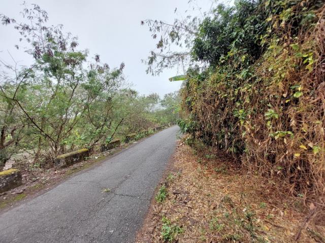 嘉義番路農地-14