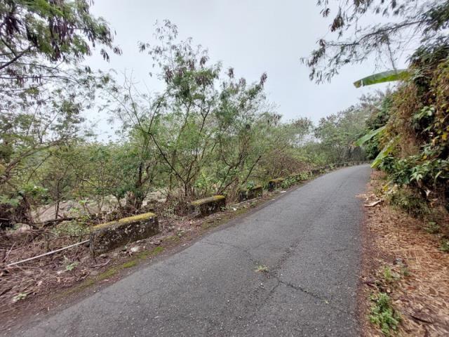 嘉義番路農地-2
