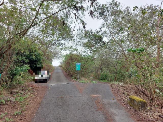 嘉義番路農地-3