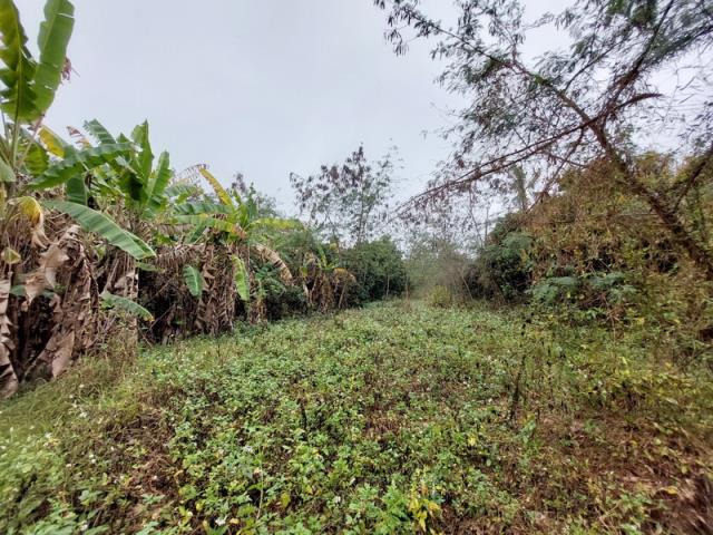 嘉義番路農地-9