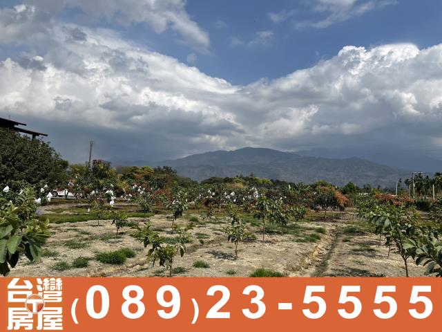 內埔農地-8