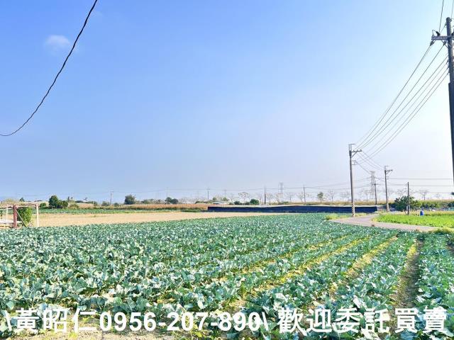 台南仁德農地-5