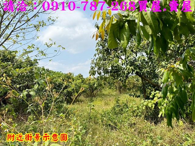 山上農地-10