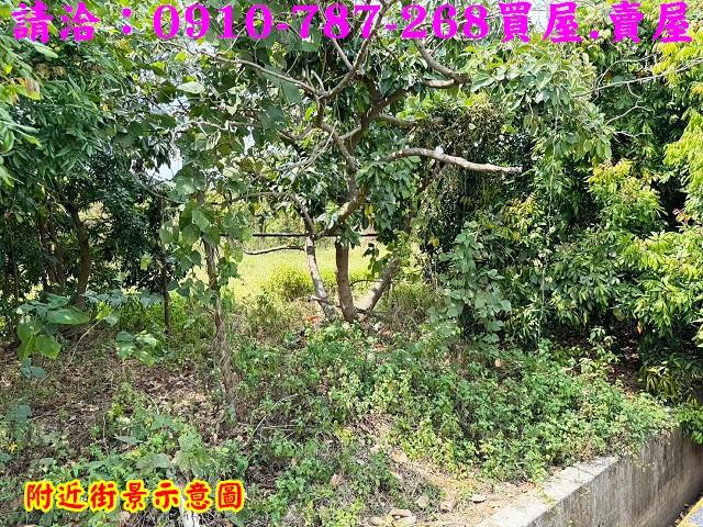 山上農地-11