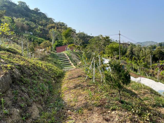 台中東勢農地-4