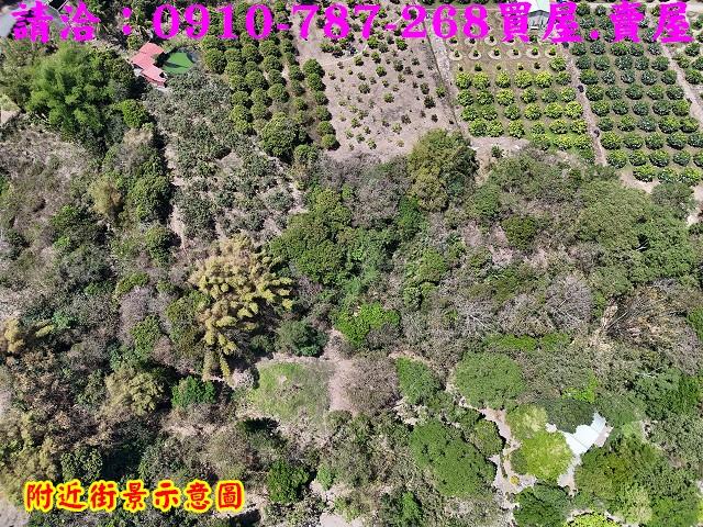 高雄六龜農地-5