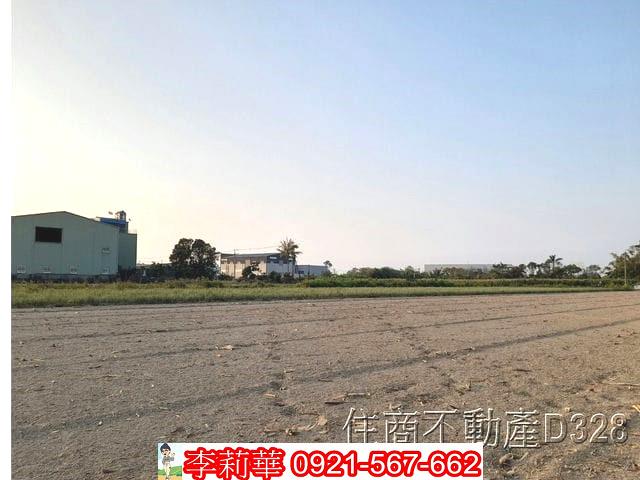 安南農地-10