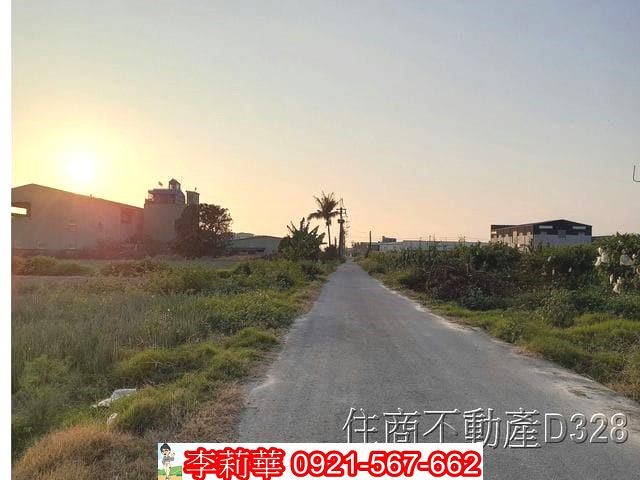 安南農地-13