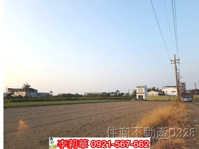 安南農地-7