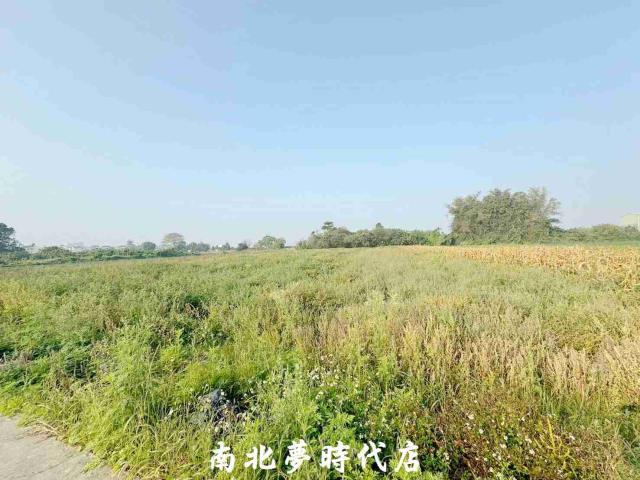 台南新化農地-7
