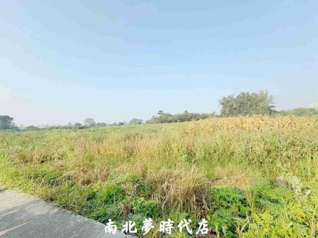 台南新化農地-9