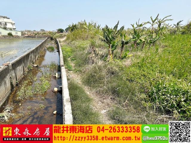 清水農地-6