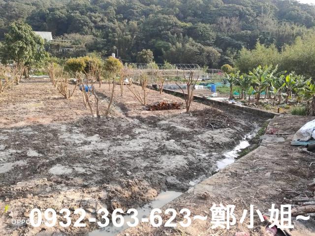 桃園蘆竹農地-1
