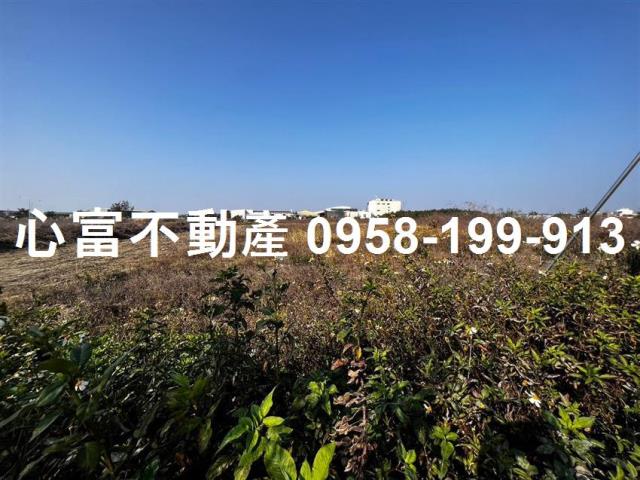 麻豆工業地-1