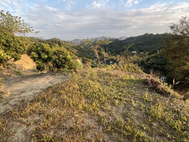 台中霧峰山坡地-15