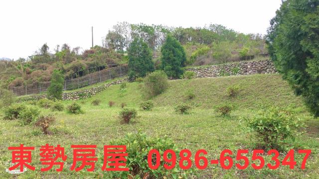 東勢農地-12