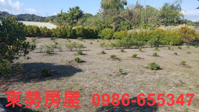 東勢農地-5