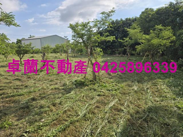 后里農地-10