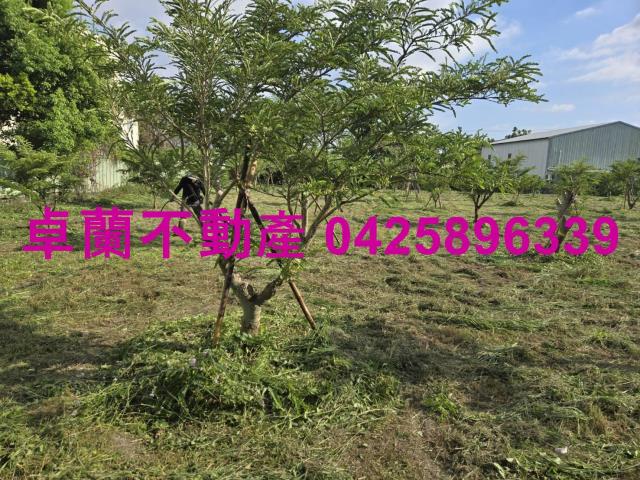 后里農地-12