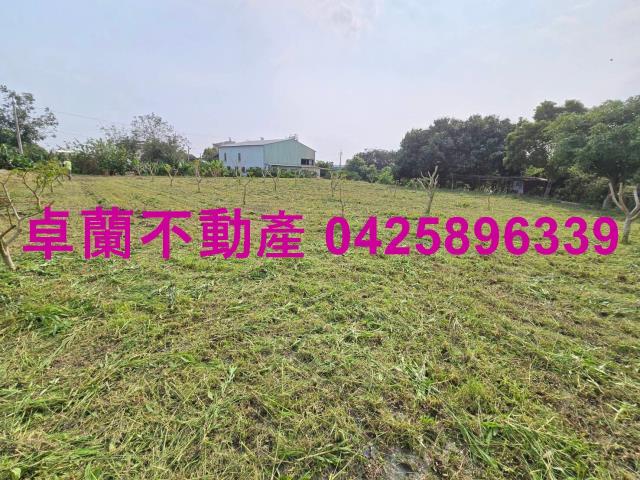 后里農地-13
