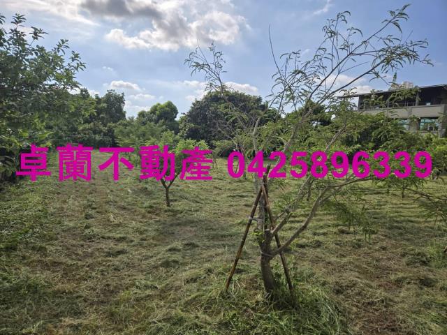 后里農地-2