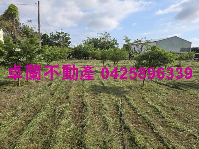 后里農地-4