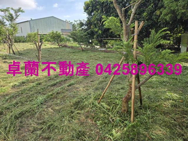 后里農地-6