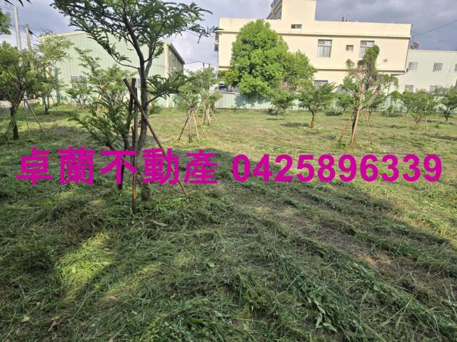 后里農地-9