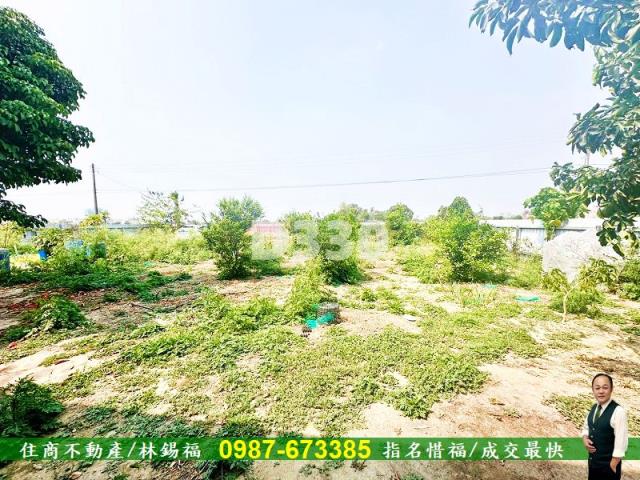 善化農地-3