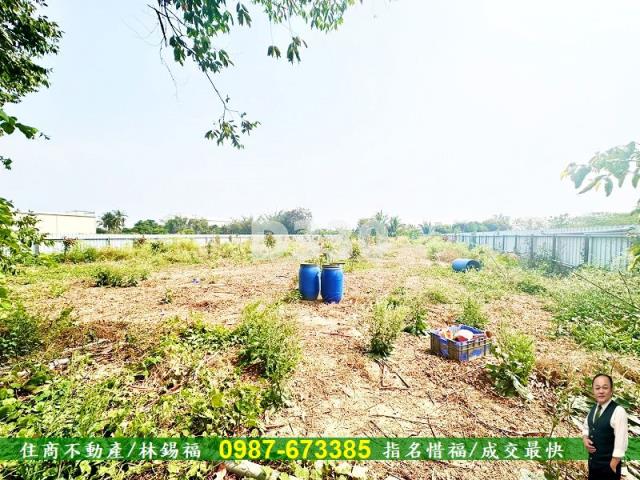 善化農地-5