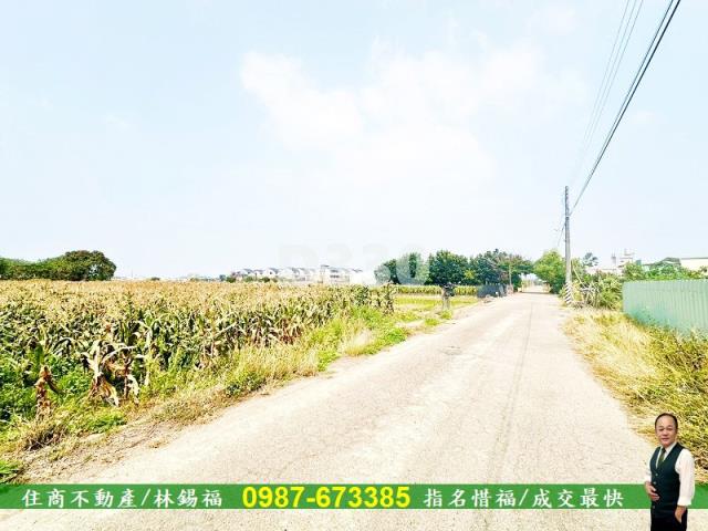 善化農地-6