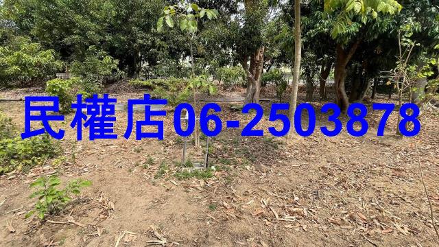 永康農地-2